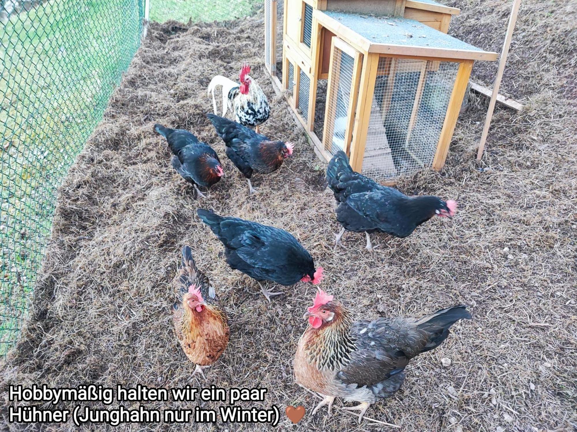 Ferienwohnung Look Wide Oberelsbach Bagian luar foto